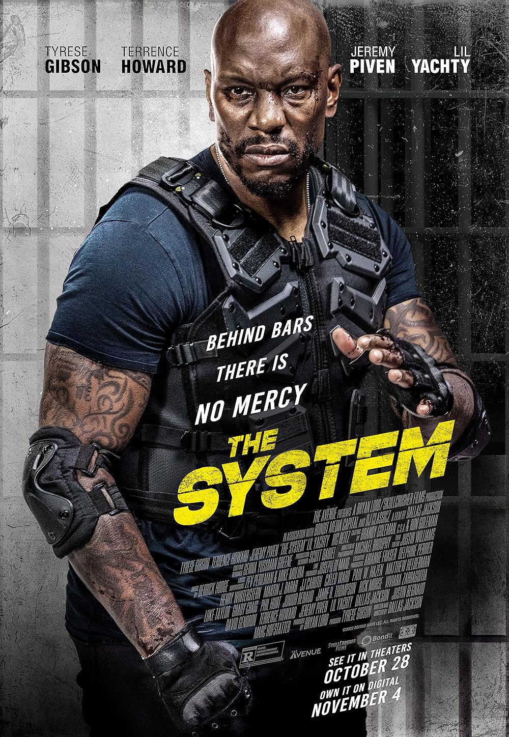 THE SYSTEM