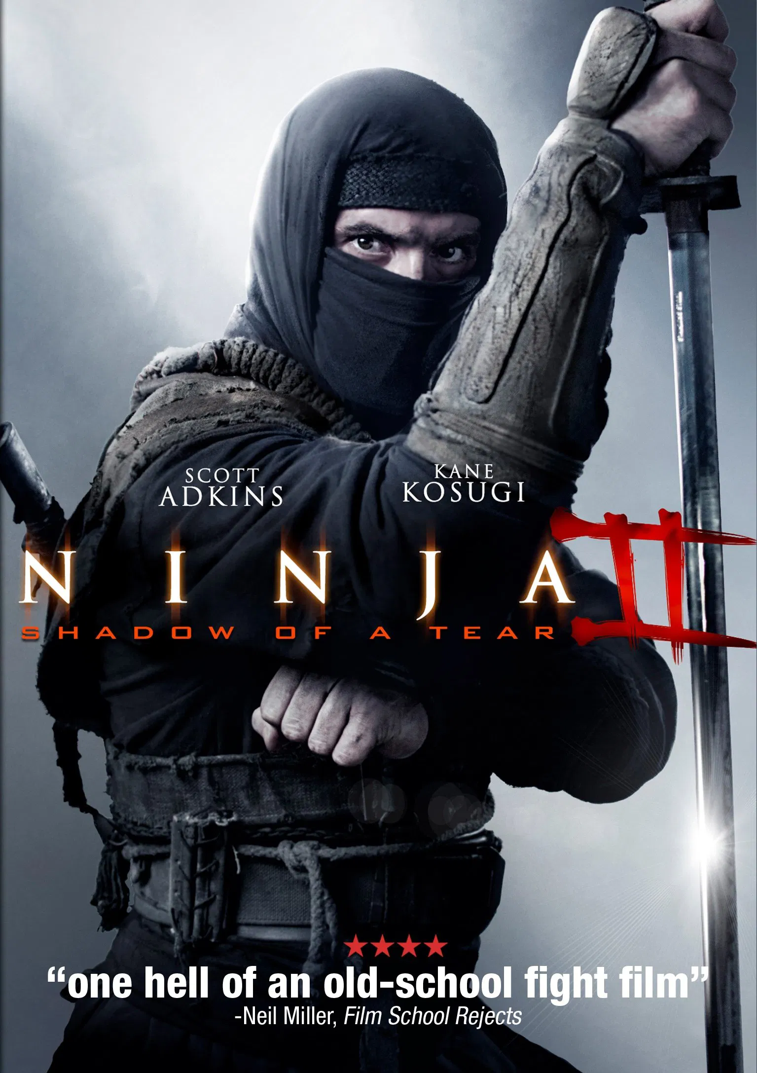 NINJA: SHADOW OF A TEAR 