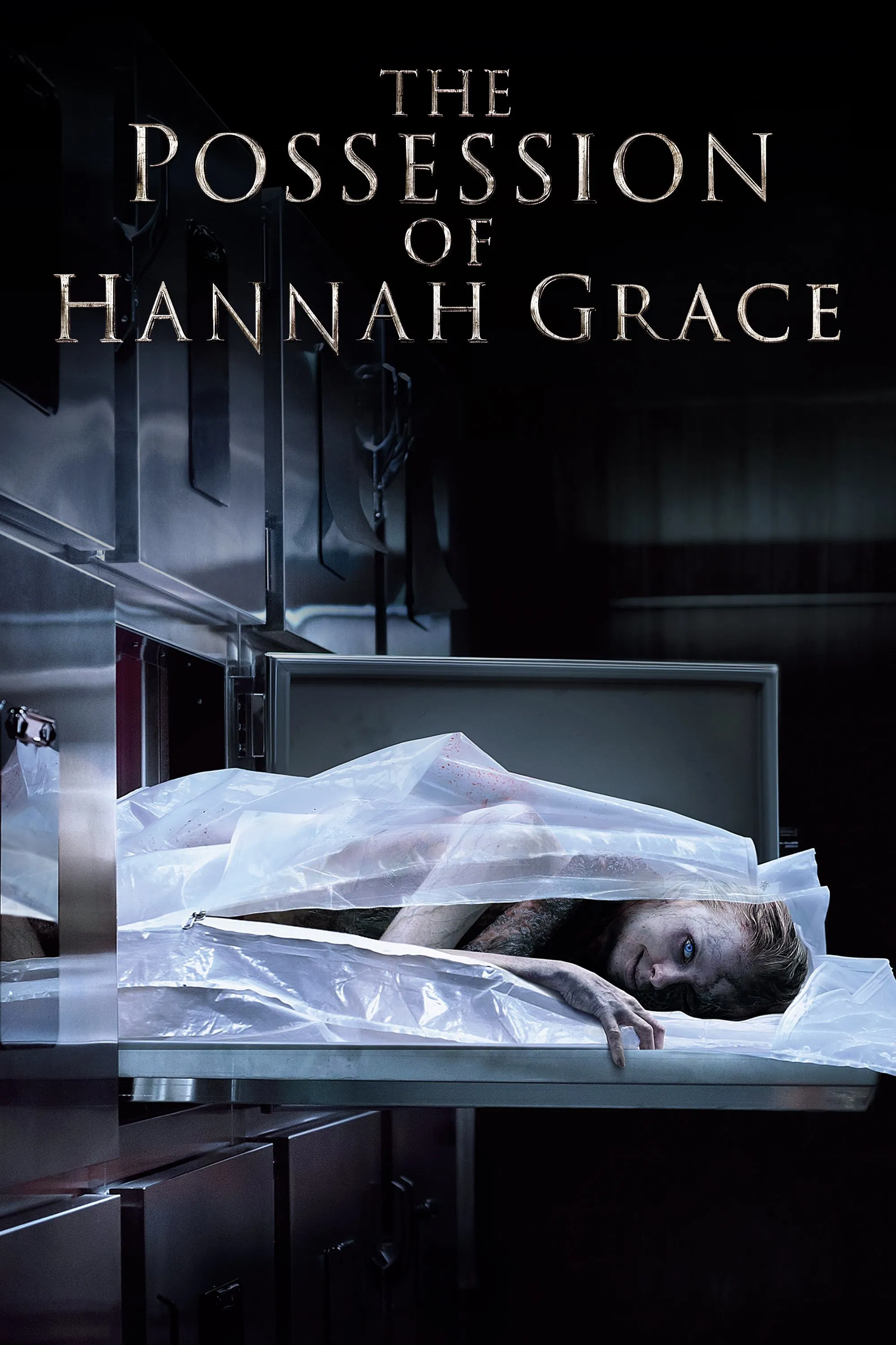 The Possession of Hannah Grace