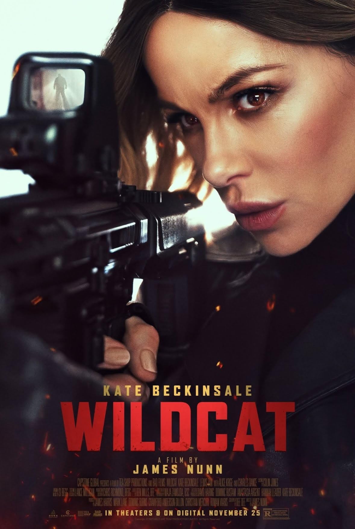 WILD CAT