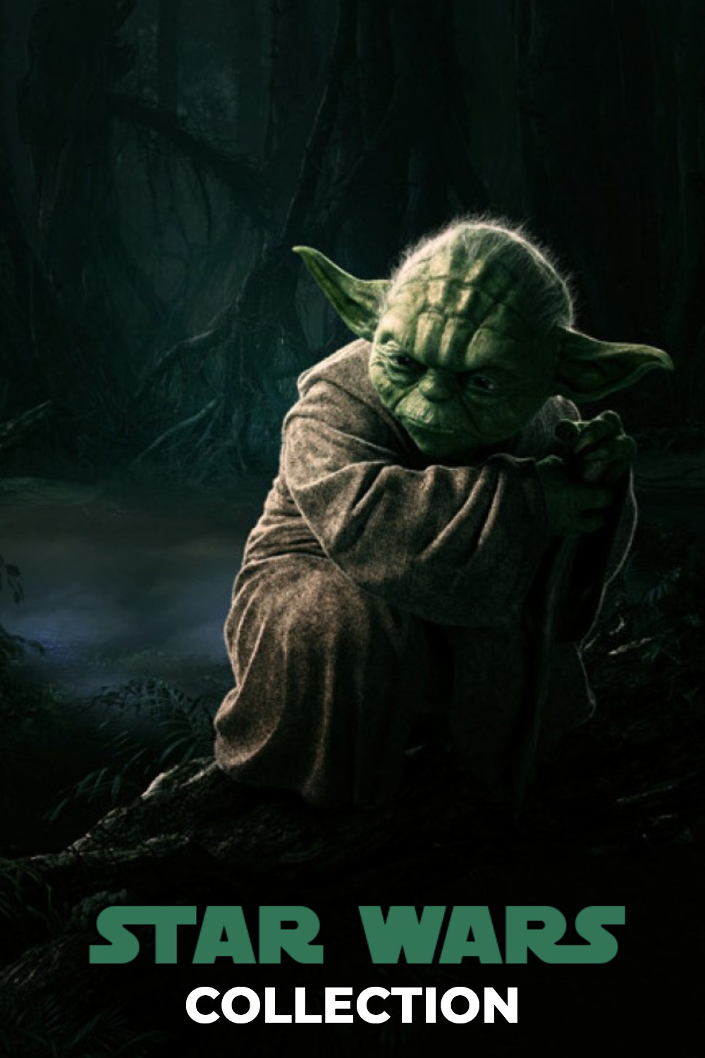 THE STAR WAR