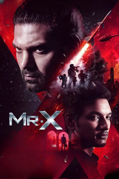 MR X